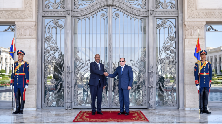 ديفيز: حرب القاهرة الخفية في السودان: الطائرات المسيرة، والحدود، وحليف عسكري يتلاشى