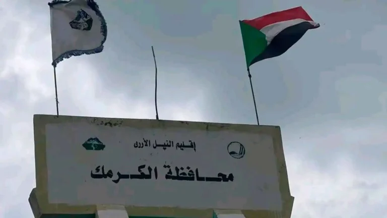 تأسيس تعلن السيطرة على 6 مواقع بالكرمك والتقدم نحو الدمازين